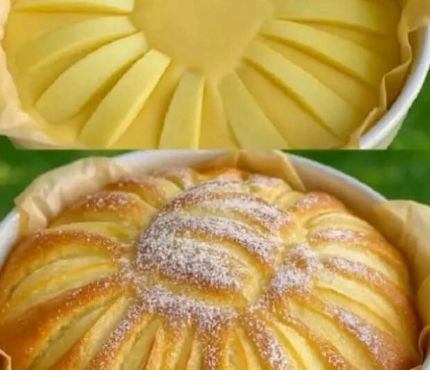 Soft Apple Cake Short & Crisp