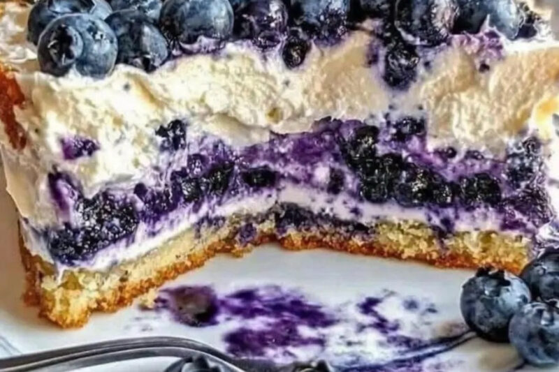 Nova Scotia Blueberry Cream Cake – A Luscious Dessert Recipe