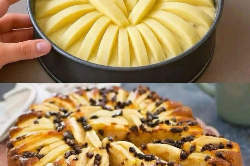 The Softest Apple Cake Recipe You’ll Ever Bake – Moist & Delicious